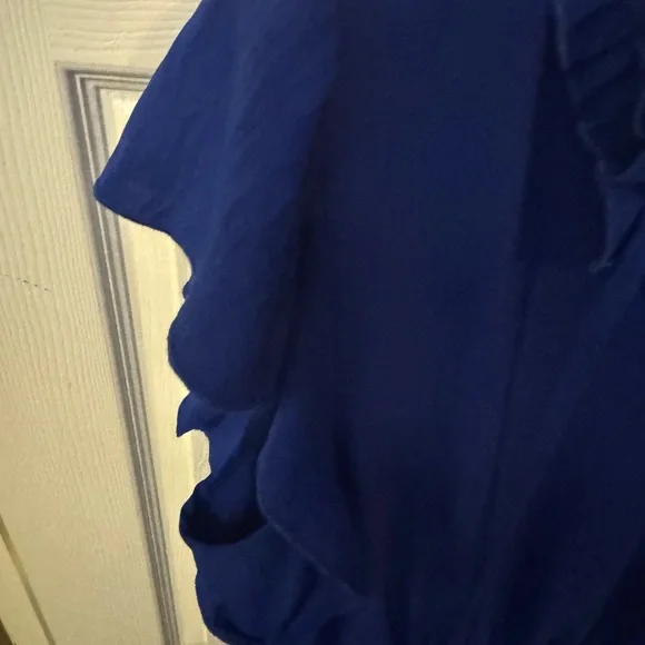 Royal Blue Ruffled Dress - Picture 3 of 7